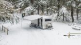 Nordic (2)